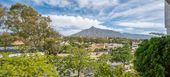 Apartment rental in playa esmeralda