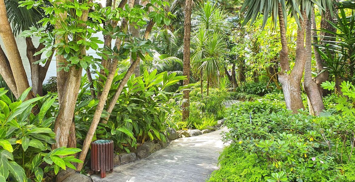 Deluxe Garden Suite in Hotel Puente Romano