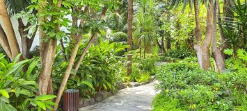 Deluxe Garden Suite in Hotel Puente Romano