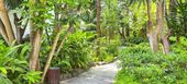 Deluxe Garden Suite in Hotel Puente Romano