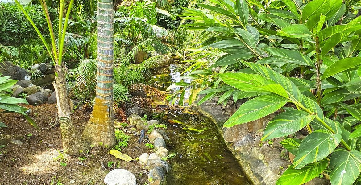 Deluxe Garden Suite in Hotel Puente Romano