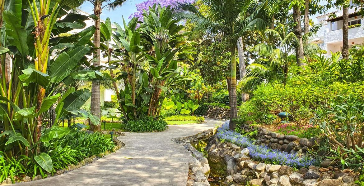 Deluxe Garden Suite in Hotel Puente Romano