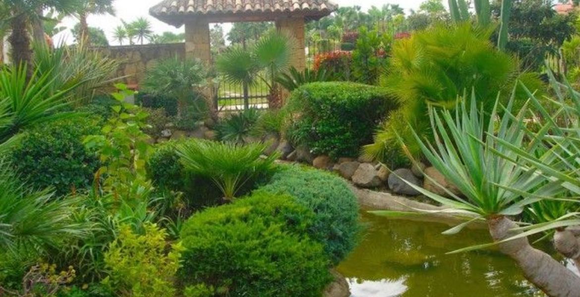 Apartamento en Estepona