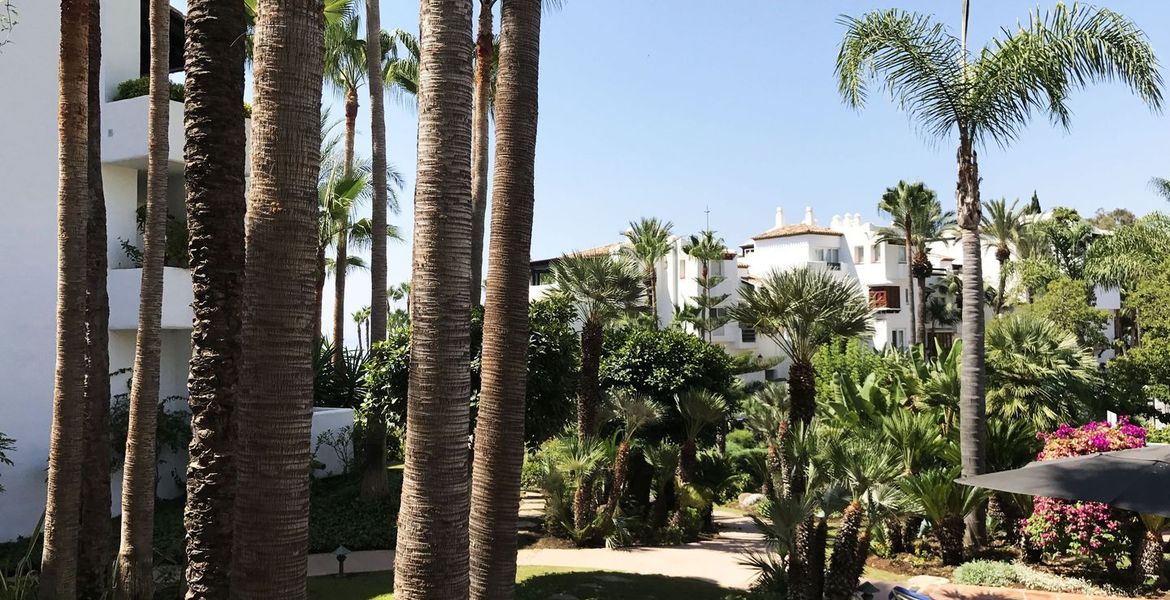 Alquiler Apartamento Flox Marina Puente Romano Marbella