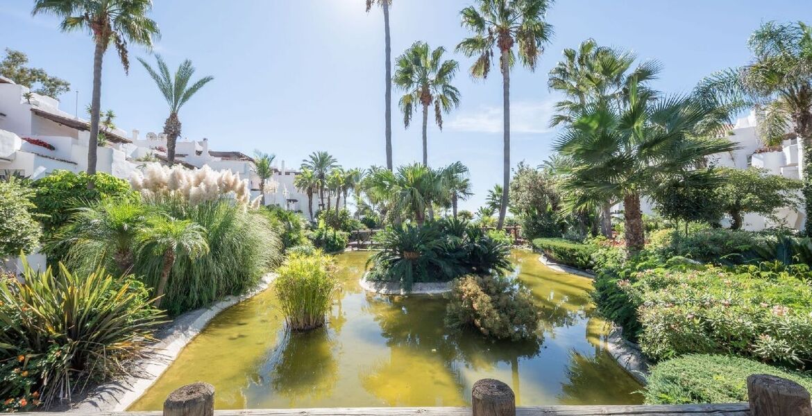 4-bedroom apartment on the beachfront, in Ventura del Mar