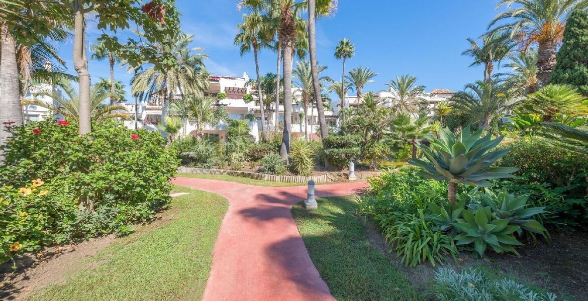 4-bedroom apartment on the beachfront, in Ventura del Mar