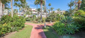 4-bedroom apartment on the beachfront, in Ventura del Mar