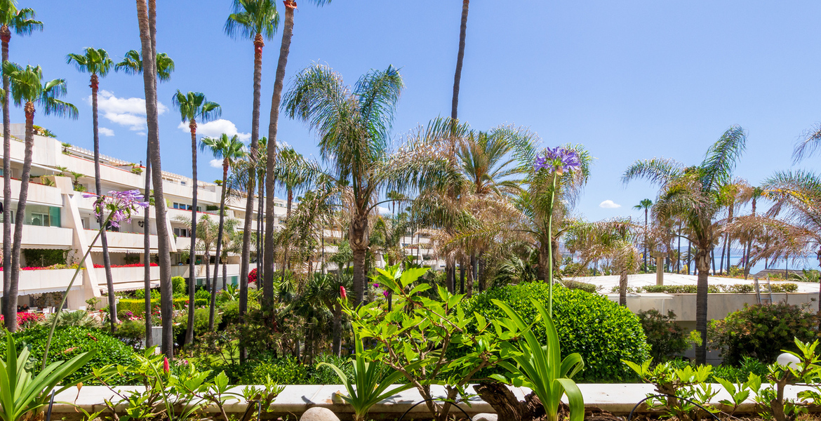 Appartement à louer à Los Granados Puerto Banus