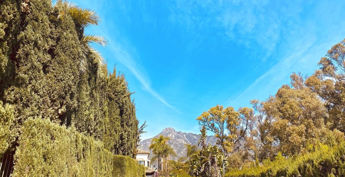 Villa de lujo en alquiler en primera línea de playa marbella