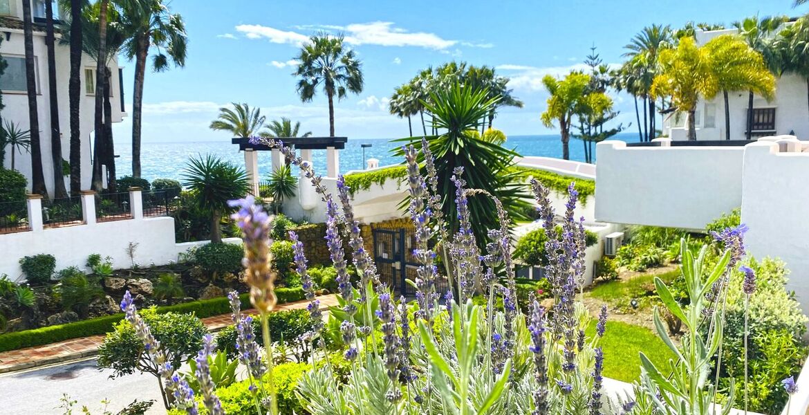 Excellent appartement à louer sur la plage dans un emplaceme