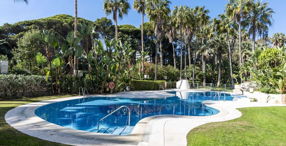 Appartement en bord de mer avec vue sur la mer