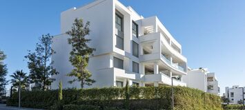 New Apartment for rent in Santa Clara
