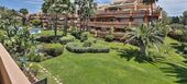 Apartment for rent in Embrujo Banus