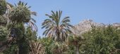 Villa de luxe à louer à Golden Mile Marbella