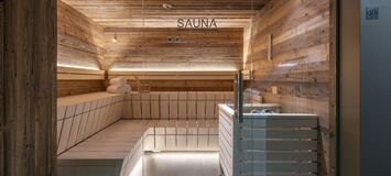 Penthouse for rent in Austria