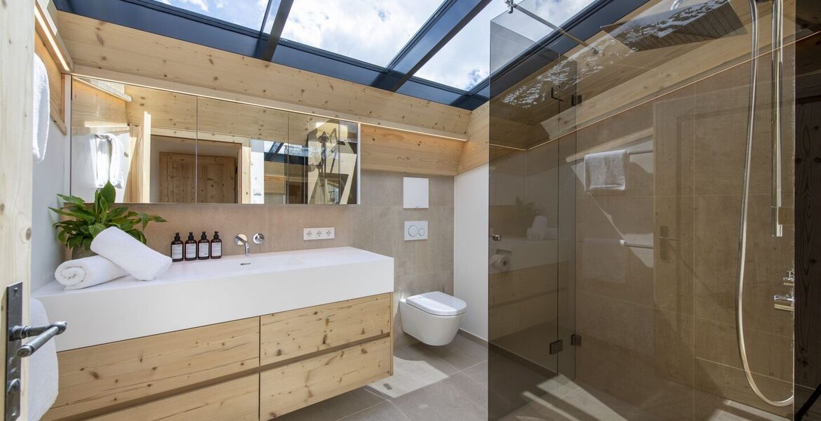 Penthouse for rent in Austria