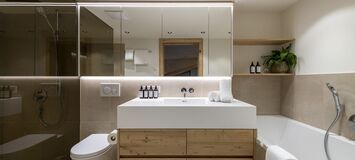 Penthouse for rent in Austria