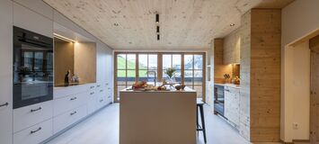 Penthouse for rent in Austria