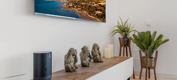 Apartment for rent in Palo Alto