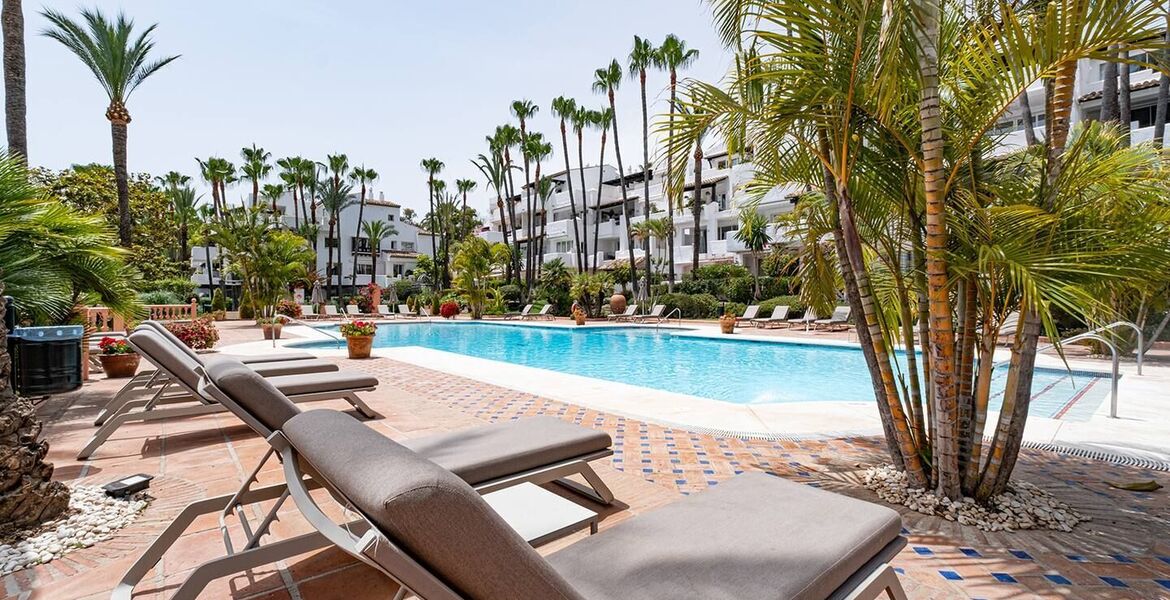 Apartamento en alquiler en Marina Puente Romano