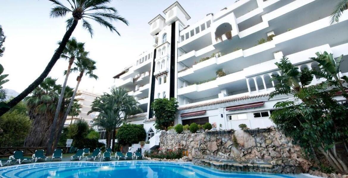 For rent aparmtent in Golden Mile