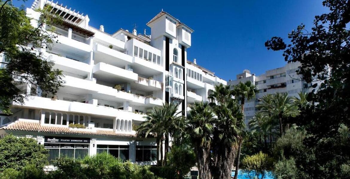 For rent aparmtent in Golden Mile