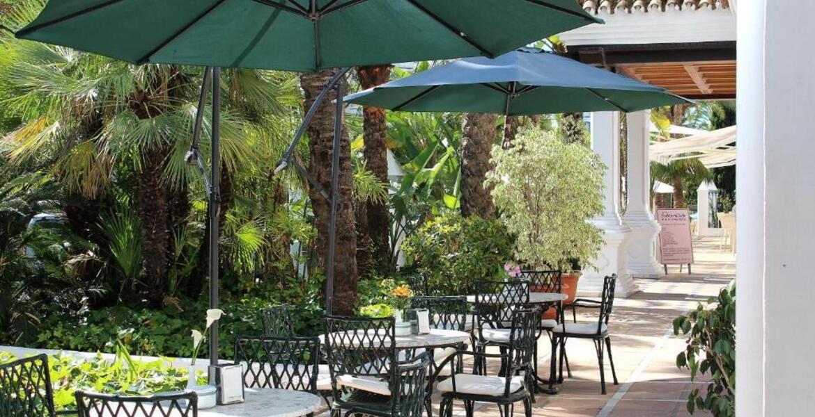 For rent aparmtent in Golden Mile