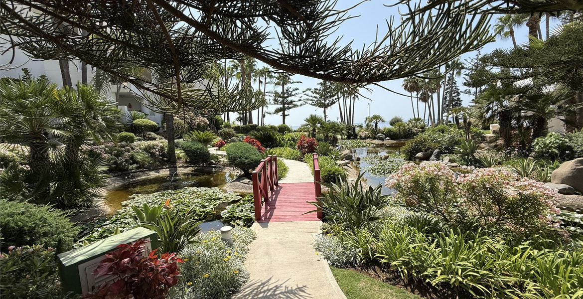 Appartement à louer Marina Puente Romano