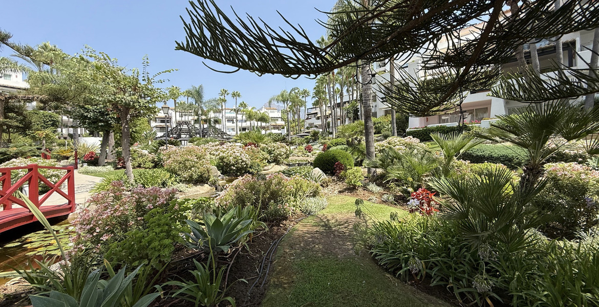 Appartement à louer Marina Puente Romano
