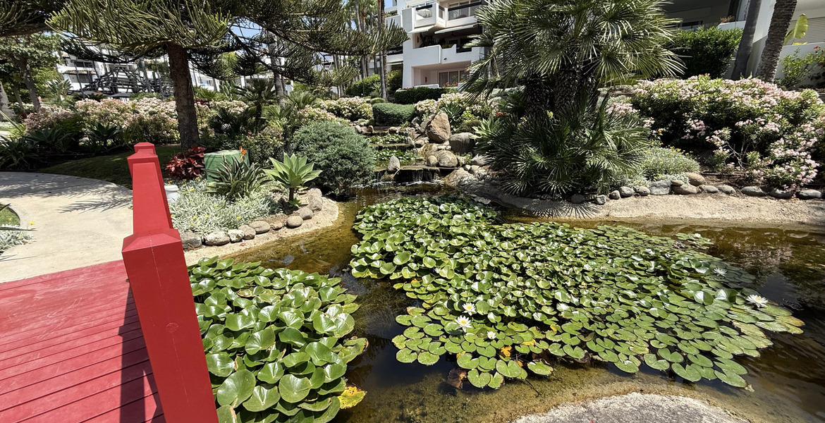 Appartement à louer Marina Puente Romano