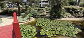 Appartement à louer Marina Puente Romano