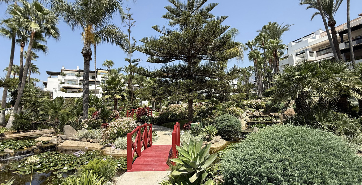 Appartement à louer Marina Puente Romano