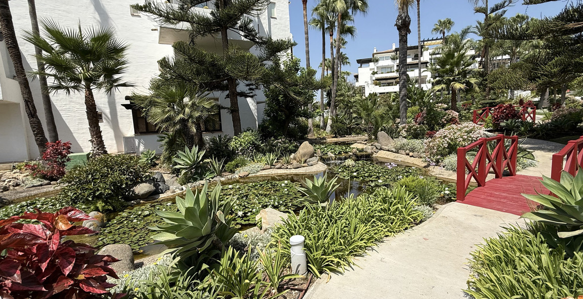 Appartement à louer Marina Puente Romano