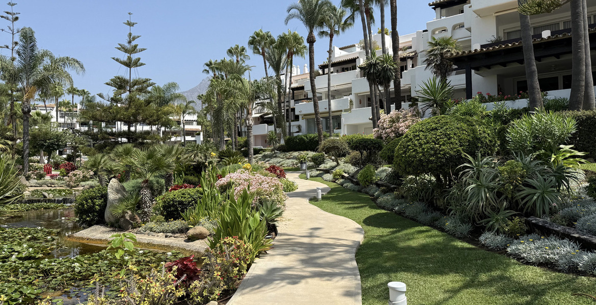 Appartement à louer Marina Puente Romano