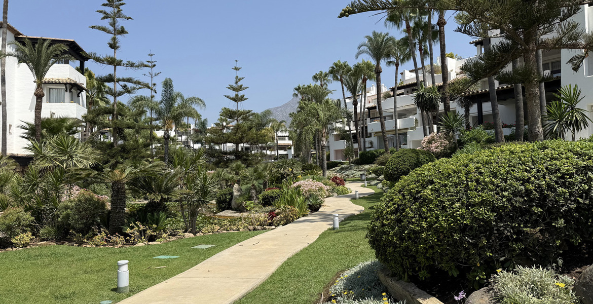 Appartement à louer Marina Puente Romano