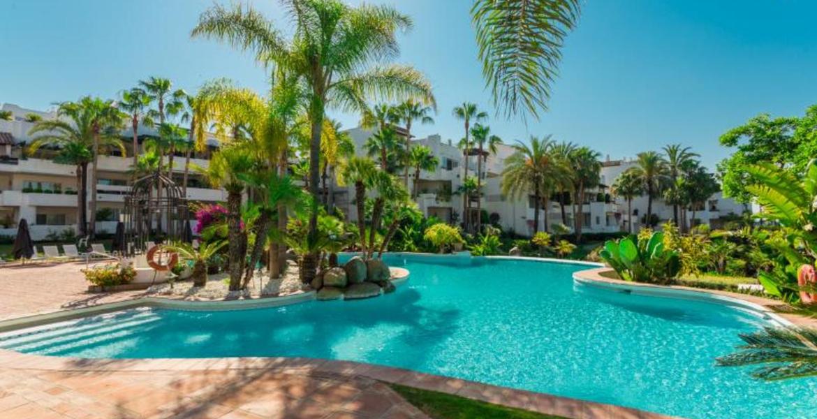 Excepcional apartamento en primera línea de playa 