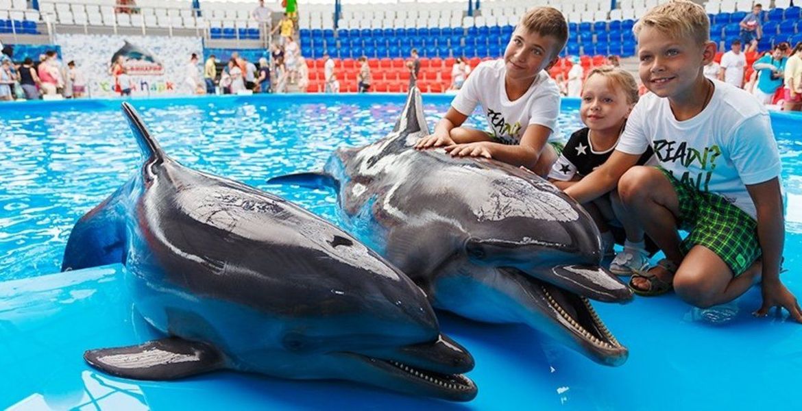 The best marine park and dolphinarium in Costa del Sol