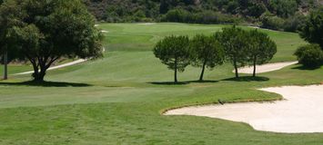 Enjoy an amazing Santa Clara Golf Course