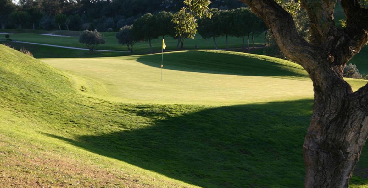 Enjoy an amazing Santa Clara Golf Course