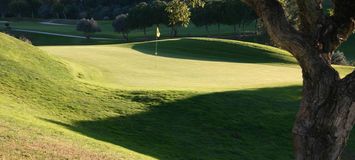 Enjoy an amazing Santa Clara Golf Course