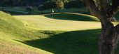 Enjoy an amazing Santa Clara Golf Course