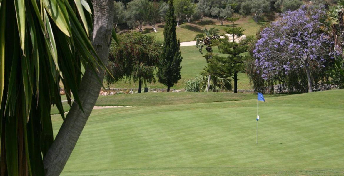 Enjoy an amazing Santa Clara Golf Course