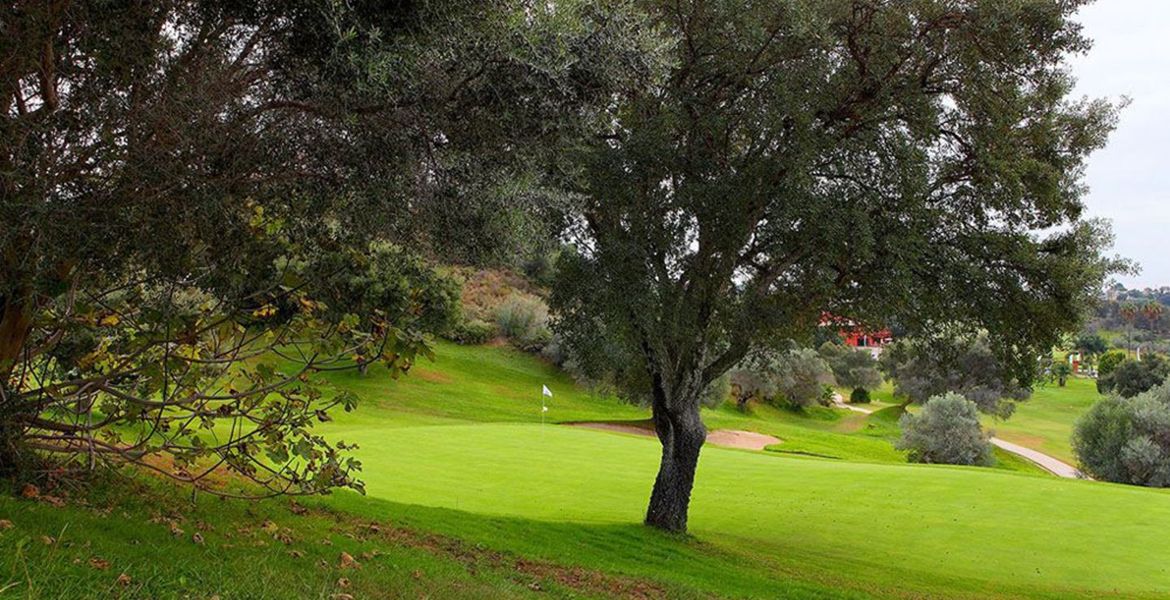 Enjoy an amazing Santa Clara Golf Course