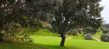 Enjoy an amazing Santa Clara Golf Course