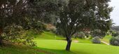 Enjoy an amazing Santa Clara Golf Course
